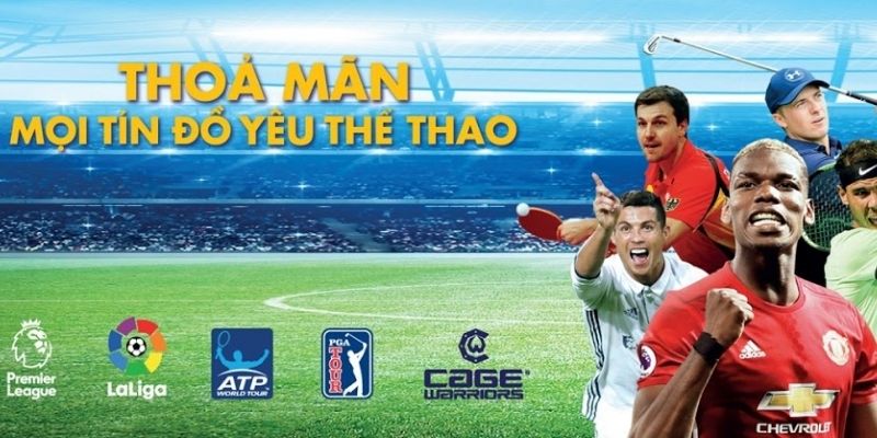 Các gói dịch vụ K Plus và tiện ích đi kèm