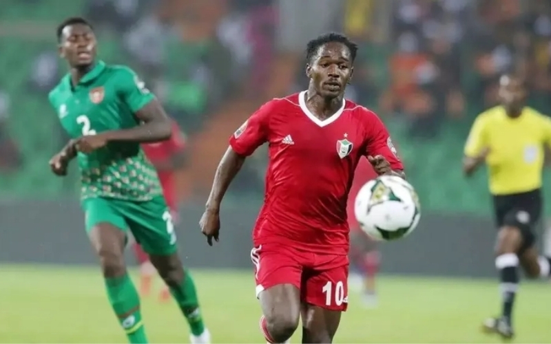 Chế độ dinh dưỡng bản địa và nguồn năng lượng bền bỉ